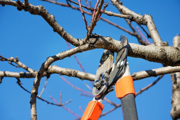 Selective Pruning in Pueblo
