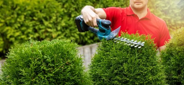Hedge Shaping Service in Pueblo