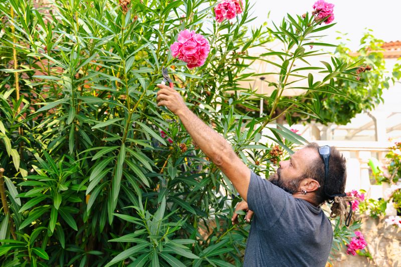 Freshly Trimmed Shrubs