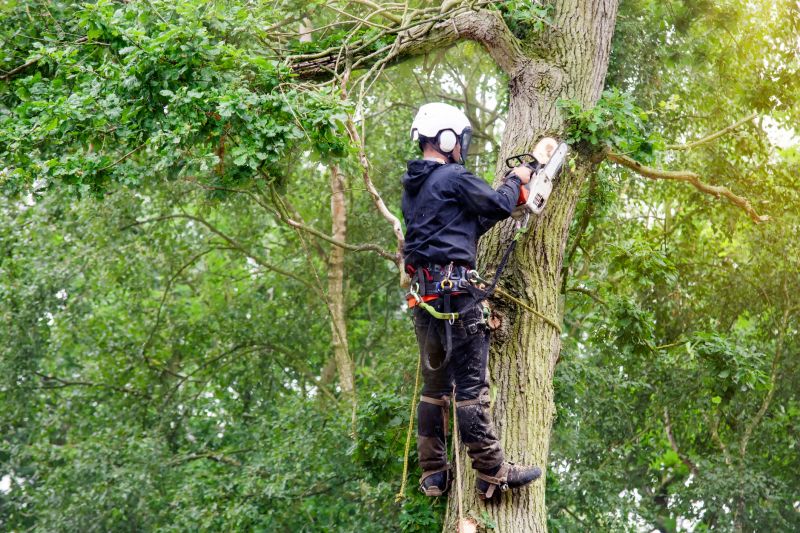 Specialized Tree Care Services